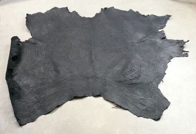 Peaux d'autruche tannée - Struthio camelus