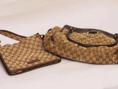 guccissi handbag and purse on a white background