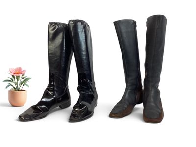 trois paires de bottes d'équitation en cuir noir posées à côté d'une plante en pot