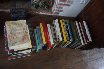beaucoup de livres posés par terre devant une cheminée