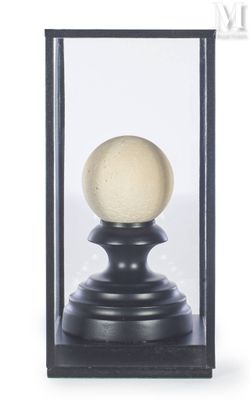 an image of a glass display case with a white ball inside of it