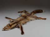 l'image d'un animal mort sur une surface blanche