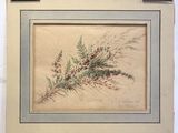 une vieille photo d'une photo représentant une plante avec des feuilles et des baies