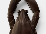 a chocolate sculpture of a lobster on the wall