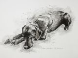 drawing of a dog laying down on the ground with its head on the ground