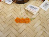 a small orange flower on the table next to some other items