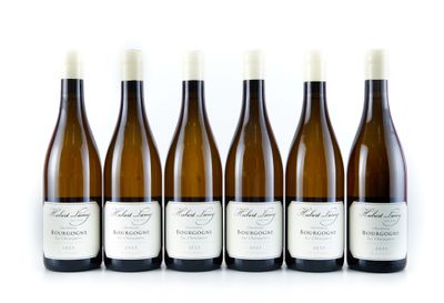 six bouteilles de vin sont alignées sur une surface blanche