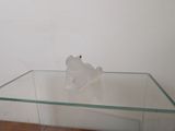une table en verre sur laquelle est posée une figurine de grenouille