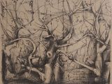 dessin représentant un dessin en noir et blanc d'un arbre avec des branches