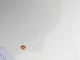 a red ladybug sitting on top of a white plate