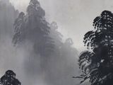 a black and white photo of some trees in the fog