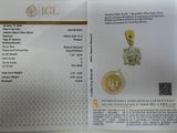 a close up of a brochure with a picture of a sun
