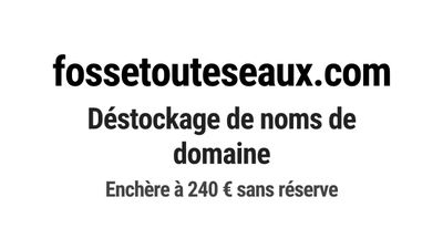 Nom de domaine fossetouteseaux.