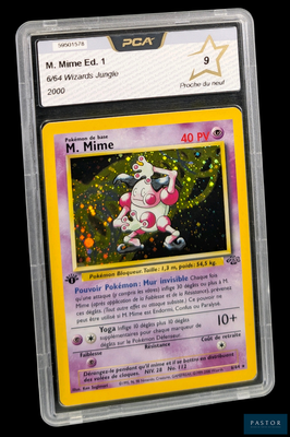 La carte Pokémon se trouve dans un étui en plastique transparent sur fond noir.