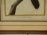 a picture of a bird that is sitting on a branch