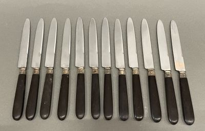 six couteaux sont alignés les uns à côté des autres sur une table