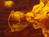 a painting of a fish that is in the water