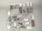 a lot of coins in the bag on the table
