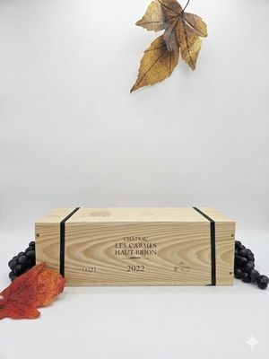 Bordeaux - Lot de 1 Magnum en caisse bois d'origine individu…