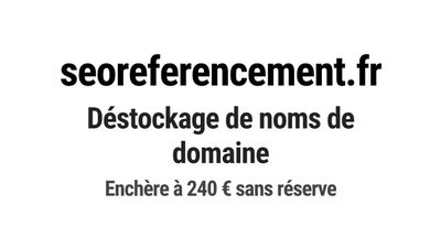Nom de domaine seoreferencement.