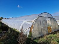 Lot de 3 tunnels en tubes galvanisés (55m x 6m chaque) dont … (photo 5)