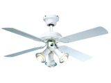 the ceiling fan is white and has five lights on it