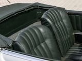 a close up of a car seat with a dog in it