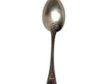 a silver spoon with a spoon handle on a white background