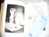 Photo 12/33 du lot
