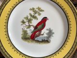 une assiette avec un oiseau posée sur une table