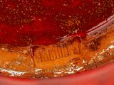 a close up of a red vase with a brown lid