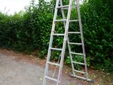 a ladder that is leaning up against a hedge