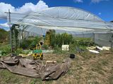 a large greenhouse with a lot of plants growing inside of it