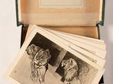 a bunch of old photos in a box on the table