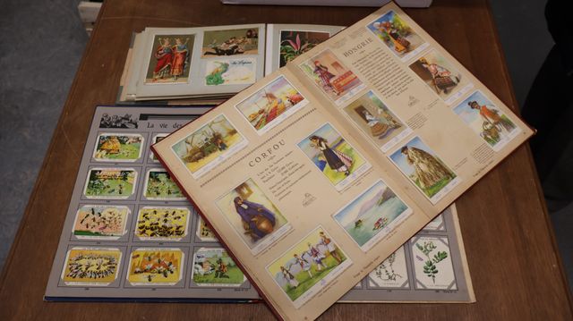 Lot d’albums avec chromos éducatifs