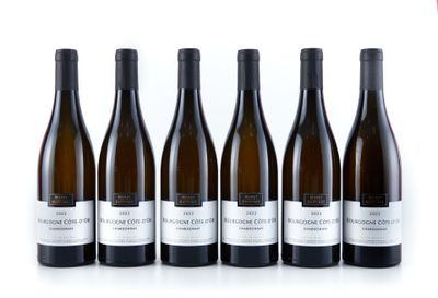 six bouteilles de vin sont alignées sur une surface blanche
