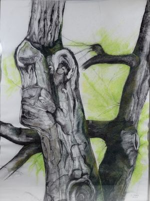 drawing of a tree trunk with a bird perched on it ' s branch