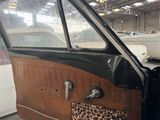 a brown and black car with a leopard print door panel