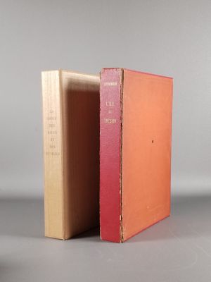 deux livres posés côte à côte sur une surface grise