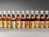 a group of bottles of different types and sizes of sauce