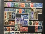 an image of a collection of stamps on display in a display case