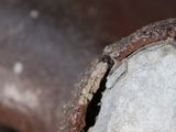 a close up of a rusted pipe with a hole in it