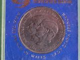 a close up of a coin in a blue box on a green surface