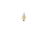 a picture of a small pendant on a white surface