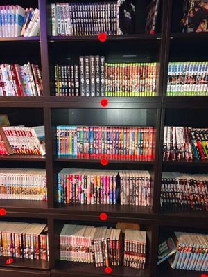many books on the shelves in the room