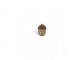 a close up of an acorn on a white background