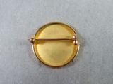 a close up of a gold colored broochle with a pin
