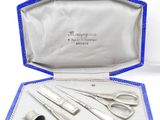 a blue case with silverware in it and a pair of scissors in it