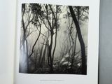 an open book with a black and white photo of trees in the woods