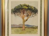 aquarelle encadrée représentant un arbre dans un champ, avec des montagnes en arrière-plan